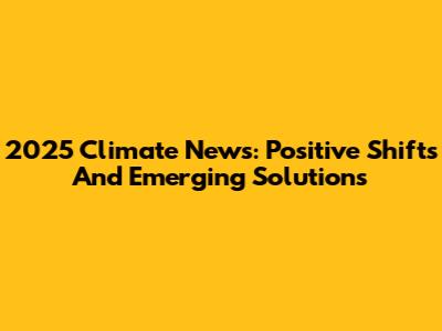 2025 Climate News: Positive Shifts And Emerging Solutions