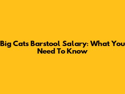 Big Cat's Barstool Salary: What You Need To Know