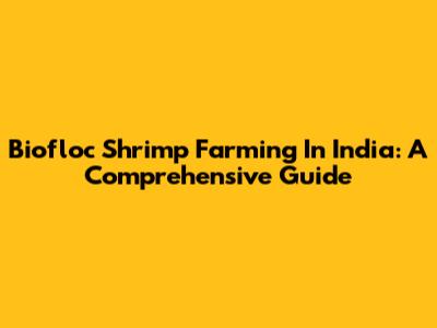 Biofloc Shrimp Farming In India: A Comprehensive Guide