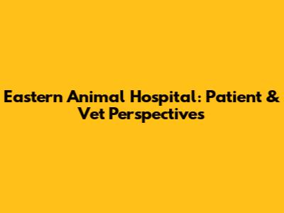 Eastern Animal Hospital: Patient & Vet Perspectives