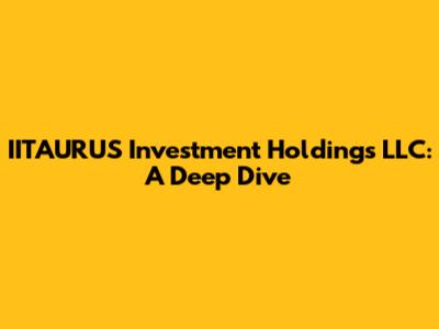IITAURUS Investment Holdings LLC: A Deep Dive