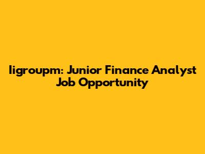 Iigroupm: Junior Finance Analyst Job Opportunity