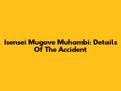 Isensei Mugove Muhambi: Details Of The Accident