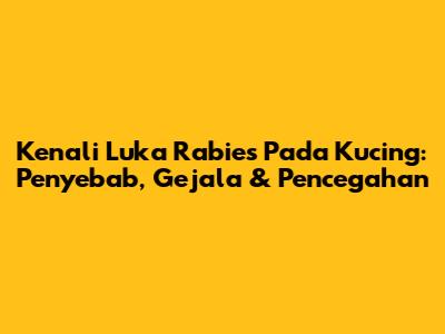 Kenali Luka Rabies Pada Kucing: Penyebab, Gejala & Pencegahan