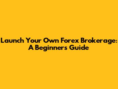 Launch Your Own Forex Brokerage: A Beginner's Guide