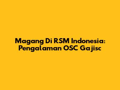 Magang Di RSM Indonesia: Pengalaman OSC Gajisc