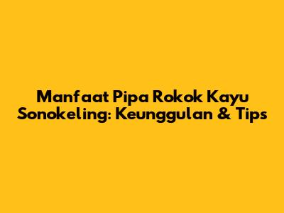 Manfaat Pipa Rokok Kayu Sonokeling: Keunggulan & Tips