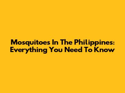 Mosquitoes In The Philippines: Everything You Need To Know