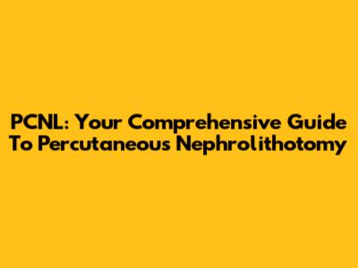 PCNL: Your Comprehensive Guide To Percutaneous Nephrolithotomy