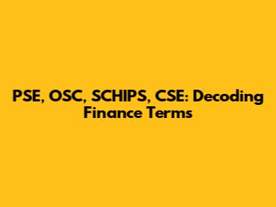 PSE, OSC, SCHIPS, CSE: Decoding Finance Terms