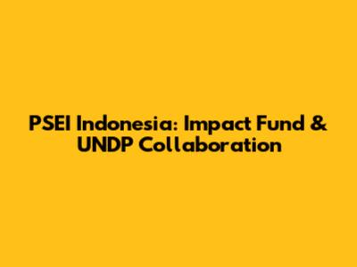 PSEI Indonesia: Impact Fund & UNDP Collaboration