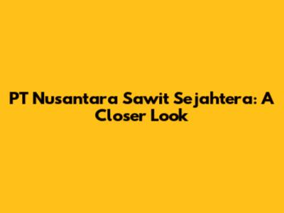 PT Nusantara Sawit Sejahtera: A Closer Look