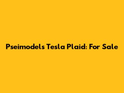 Pseimodels Tesla Plaid: For Sale
