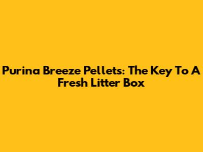 Purina Breeze Pellets: The Key To A Fresh Litter Box