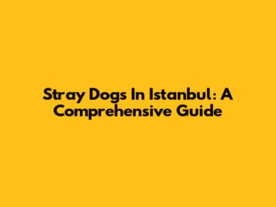 Stray Dogs In Istanbul: A Comprehensive Guide