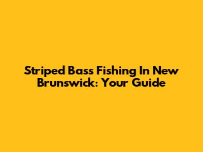 Striped Bass Fishing In New Brunswick: Your Guide