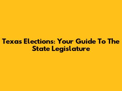 Texas Elections: Your Guide To The State Legislature