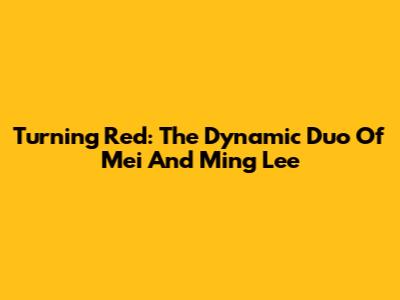 Turning Red: The Dynamic Duo Of Mei And Ming Lee