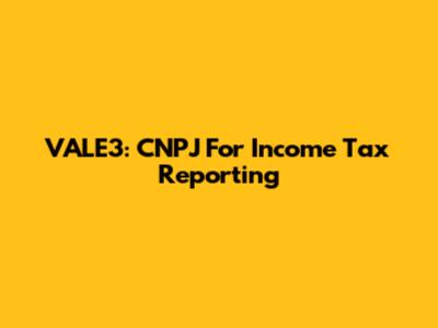 VALE3: CNPJ For Income Tax Reporting
