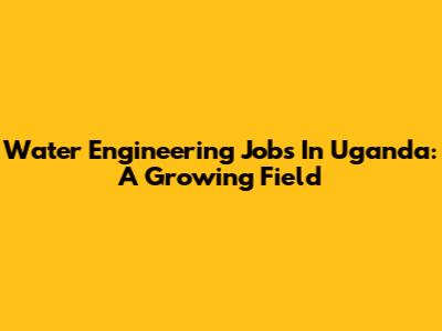 Water Engineering Jobs In Uganda: A Growing Field